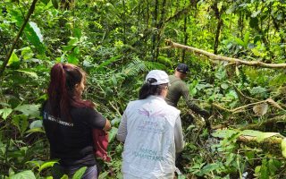 ¡En Caquetá la búsqueda no se detiene!